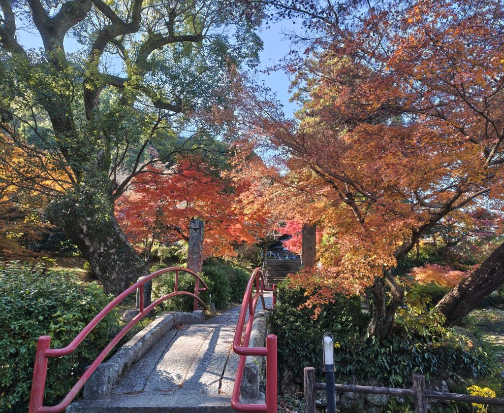 人生の節目に“方向性”をみつける個人講座