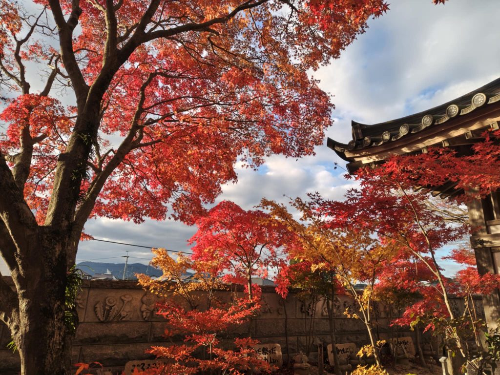 商工会にて経営者セミナー実施後のご感想