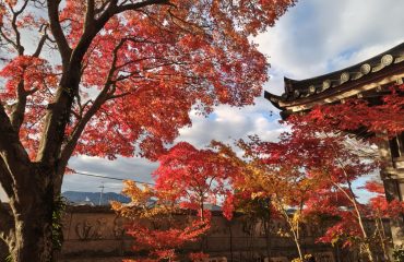 商工会にて経営者セミナー実施後のご感想